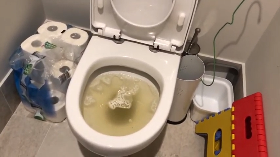 Bồn cầu có mùi hôi do toilet không được cọ rửa thường xuyên