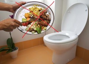 nguyên nhân tắc cống nhà vệ sinh