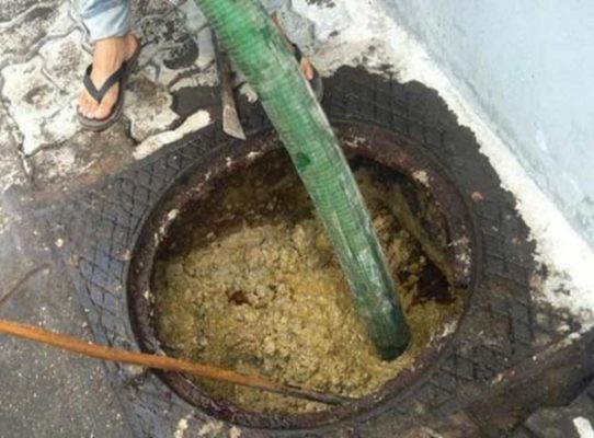 Phân hủy chất thải trong hầm cầu