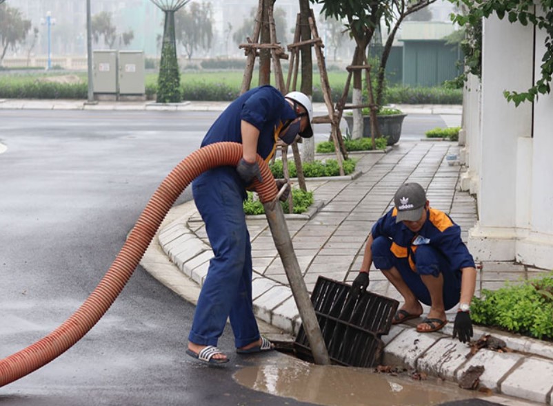 Ngành Thông Cống