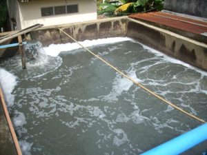 Thau Rửa Bể Nước Ngầm Hà Nội