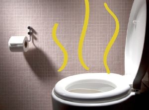 cách xử lý bồn cầu đầy nước