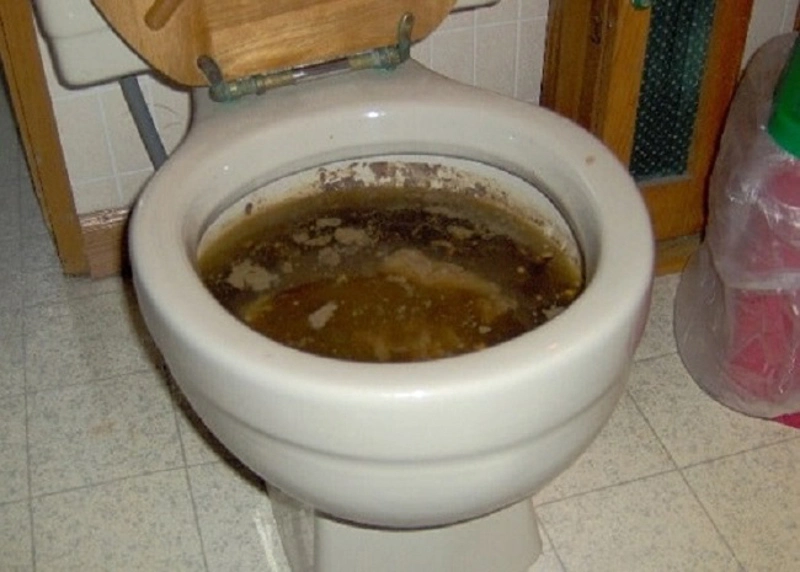 dịch vụ thông tắc bồn cầu tại gia lâm giá rẻ