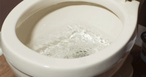 toilet bị trào ngược