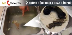 Thông Cống Nghẹt Quận Tân Phú