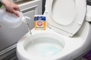 Mất Bao Lâu Để Thông Bồn Cầu