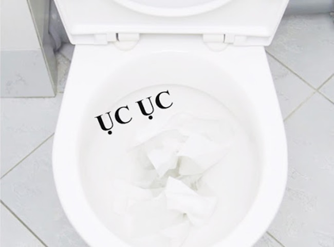 Bồn Cầu Kêu Ục Ục là gì