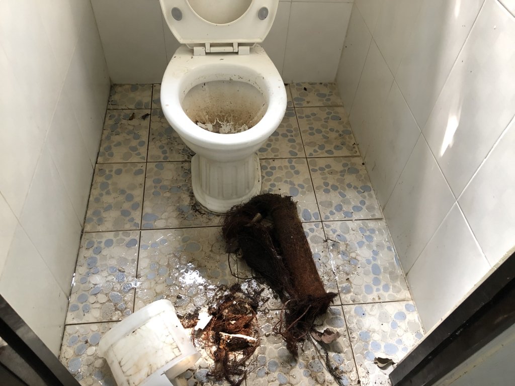 Tắc Bồn Cầu Do Dị Vật