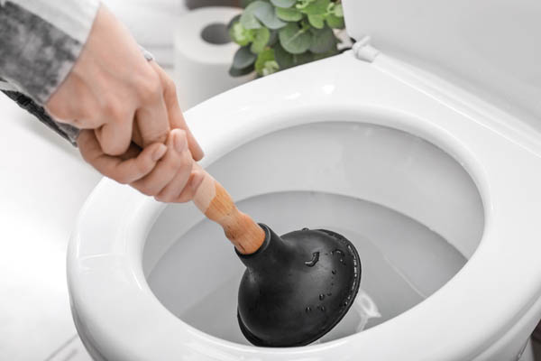 Thông Tắc Bằng Pittong