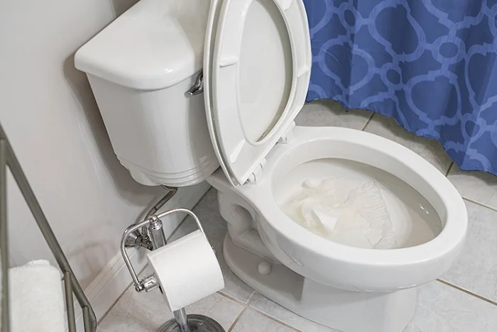 Dấu Hiệu Bồn Cầu Sắp Bị Tắc