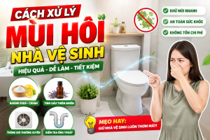 Cách Xử Lý Mùi Hôi Nhà Vệ Sinh