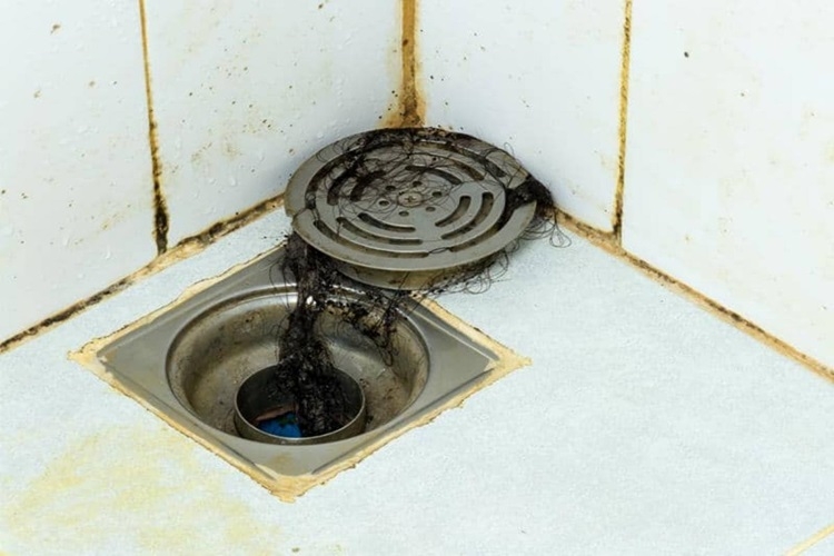 Cách Xử Lý Mùi Hôi Nhà Vệ Sinh