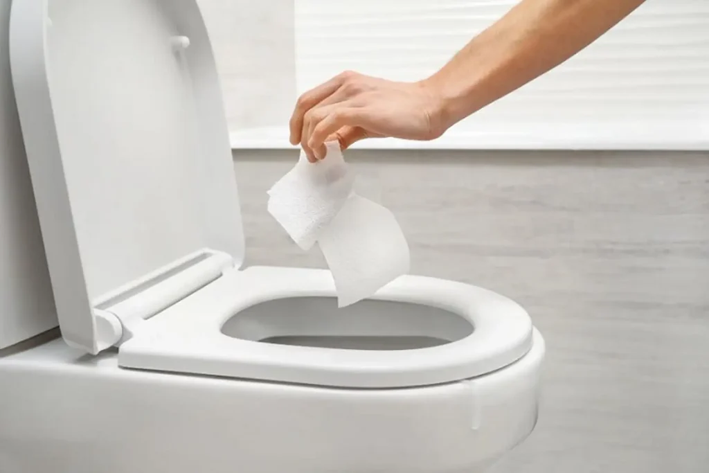Nên Bỏ Gì Vào Bồn Cầu