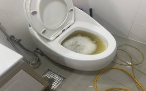 Cách Phòng Tránh Tắc Bồn Cầu
