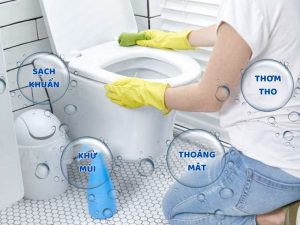 Vệ Sinh Bồn Cầu Đúng Cách