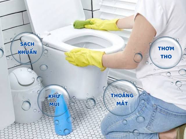 Xử Lý Mùi Hôi Nhà Vệ Sinh Hà Nội